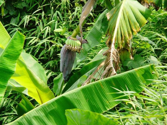 Urlaub in Vietnam 2007